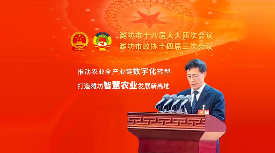 創(chuàng)新實干走在前 建言資政促發(fā)展 創(chuàng)新實干走在前 建言資政促發(fā)展