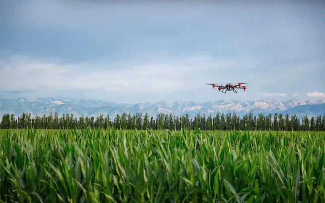 數字農業(yè)迎來政策紅利！未來布局如何抓住趨勢與路徑、機會