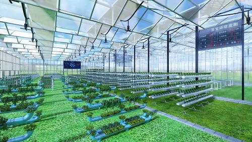 十五部門聯(lián)合發(fā)文，探索開(kāi)展智慧農(nóng)場(chǎng)等數(shù)字化場(chǎng)景認(rèn)證